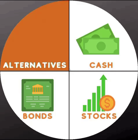 no alternative investments