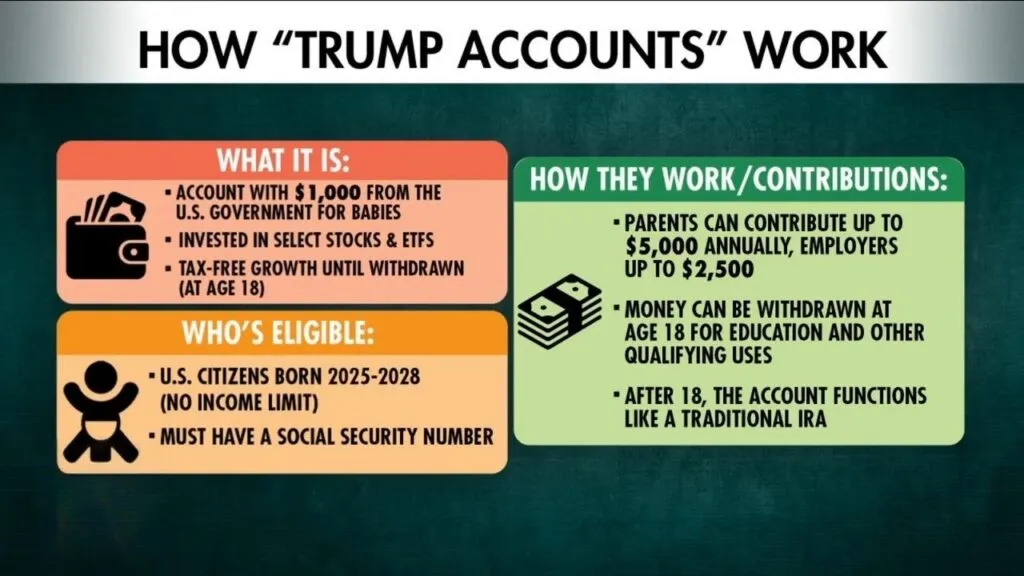 Graph of how the Trump Accounts work