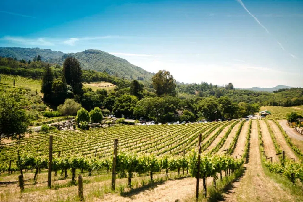 Santa Rosa
