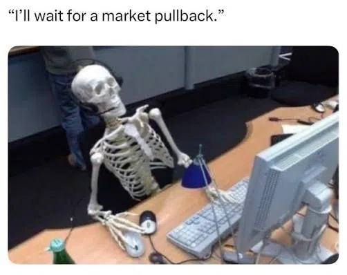 I will wait for a market pullback meme